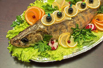 Image showing zander fish