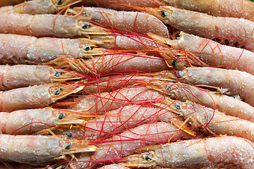 Image showing Deep frozen boiled shrimps.Tasty seafood.