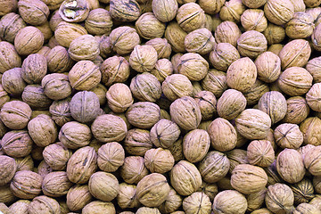 Image showing Background of walnuts