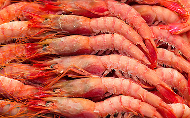 Image showing Deep frozen boiled shrimps.