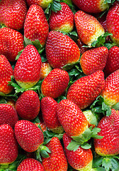 Image showing Background of ripe strawberries 