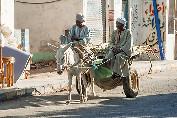 Image showing Egyptian men ride his donkey chariot