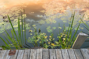 Image showing Peaceful place at the pond