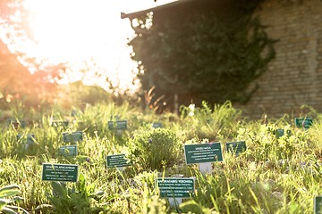 Image showing name boards in the garden