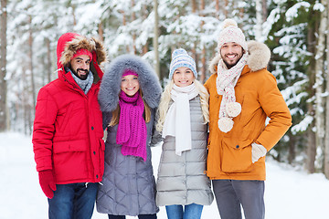 Image showing group of smiling men and women in winter forest