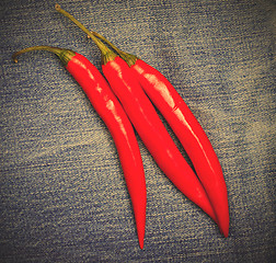 Image showing hot chili pepper on jeans background