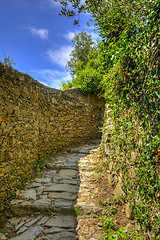 Image showing Footpath in Cinque Terre National Park