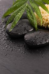 Image showing Green leaf on spa stone on wet black surface