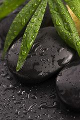 Image showing Green leaf on spa stone on wet black surface