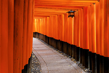 Image showing Fushimi Inari Shrine