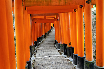 Image showing Fushimi Inari Taisha Shrine in Kyoto