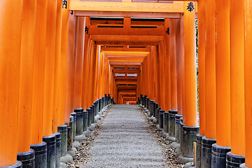 Image showing Fushimi Inari Taisha Shrine in Kyoto