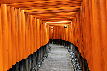 Image showing Fushimi Inari Taisha Shrine in Kyoto