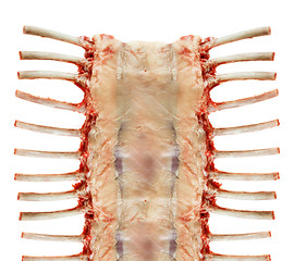 Image showing raw spare ribs