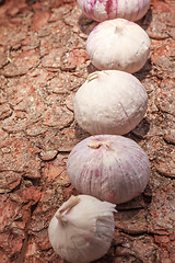 Image showing French garlic on tree bark