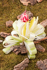 Image showing Flower of leek on forest floor