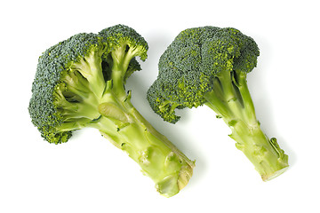 Image showing Two broccoli on white