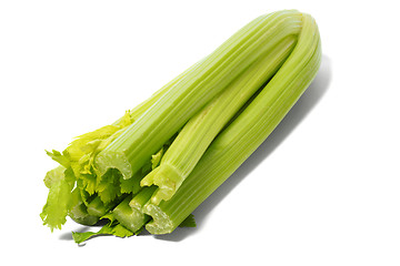 Image showing Celery on White