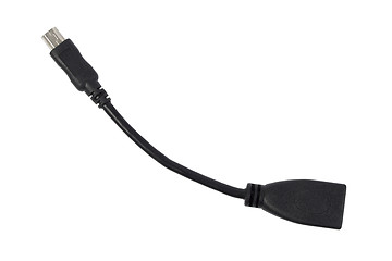 Image showing OTG cable