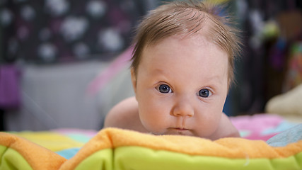 Image showing Baby boy watching amazingly