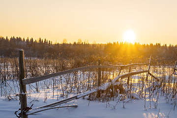 Image showing Sunset in frosty winter in forest