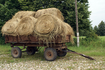 Image showing Cart with grass