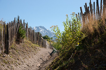 Image showing Hiking in mountain