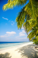 Image showing Maldives beach