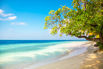 Image showing Maldives beach