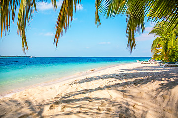 Image showing Maldives beach