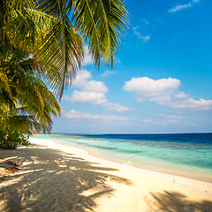 Image showing Maldives beach