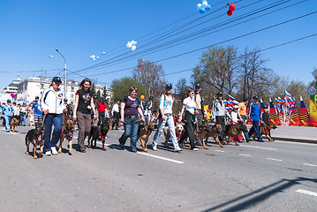 Image showing Cynologists from club of dog breeding on parade