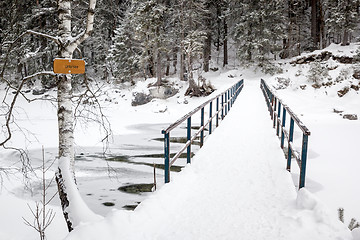 Image showing Eibsee winter