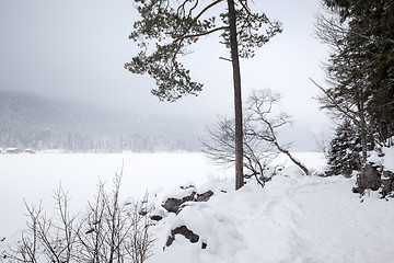 Image showing Eibsee winter