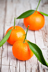 Image showing fresh tangerines with leaves