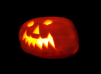 Image showing pumpkin