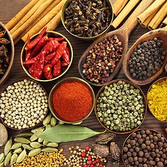 Image showing Spices.