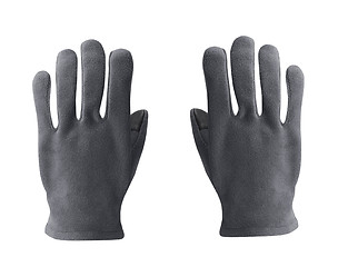 Image showing gray polar gloves isolated