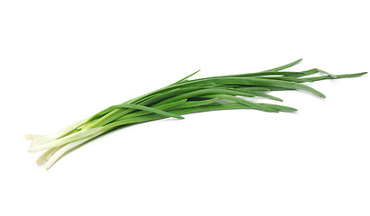 Image showing Eight ripe, beautiful spring onions