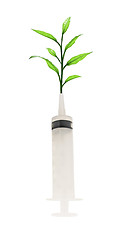 Image showing syringe with a small tree - concept