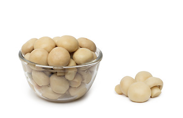 Image showing small dish of tasty canned sliced mushrooms.