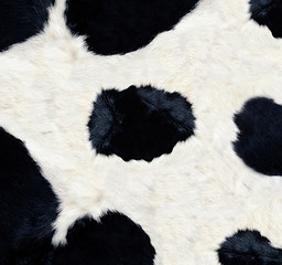 Image showing Cow skin texture
