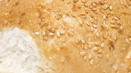 Image showing Hamburger bun texture