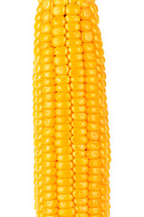 Image showing Corn