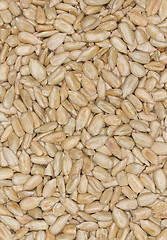 Image showing Sunflower Seeds Texture As Background.