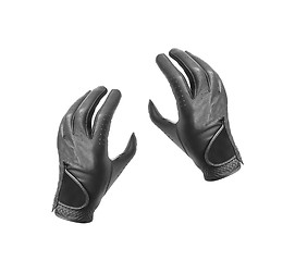 Image showing Leather motorcycle gloves with carbon fiber protection