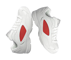 Image showing Sport shoe