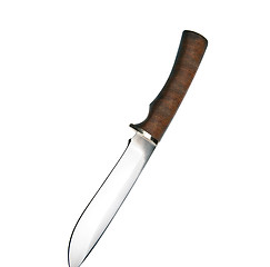 Image showing Hunting knife with wooden haft isolated on the white