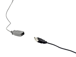 Image showing USB cables on white background.