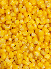 Image showing Canned corn background